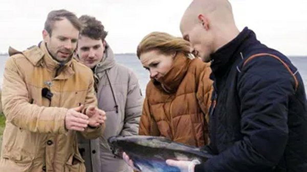 Signe Molde på udebane - Season 5 Episode 4 : Fisk har også følelser – fat det!