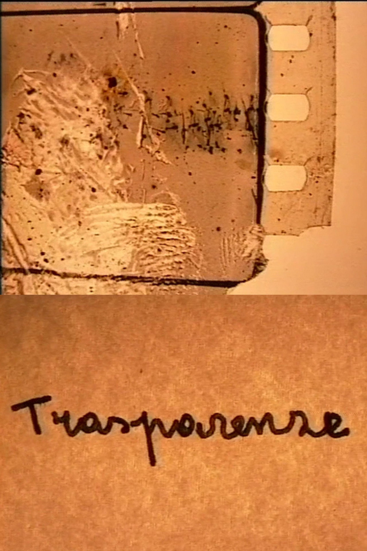 Trasparenze filmaffisch