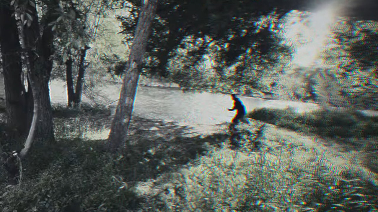 the wheel killer