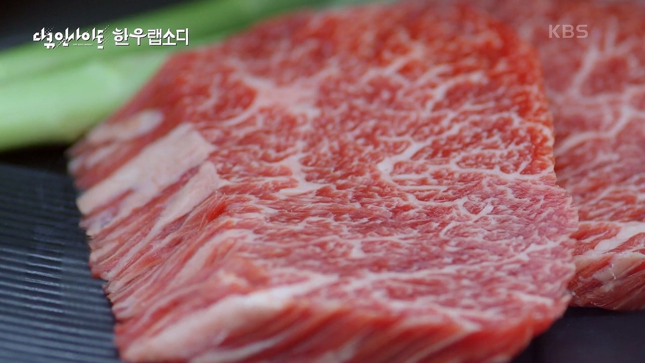 다큐 인사이트 - Season 1 Episode 103 : Episode 103