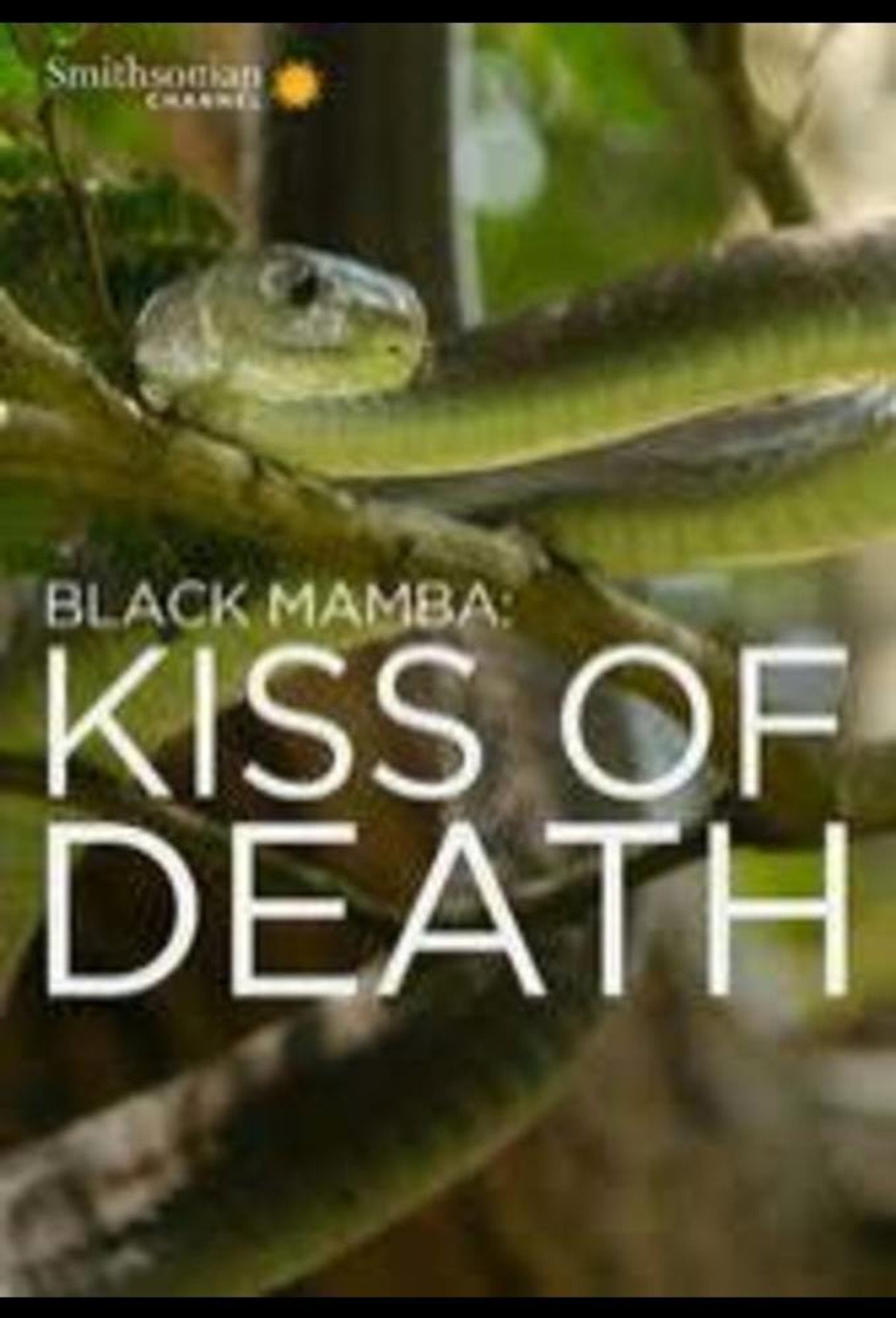Black Mamba: Kiss Of Death
