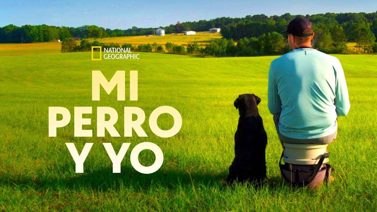 Mi Perro y Yo background