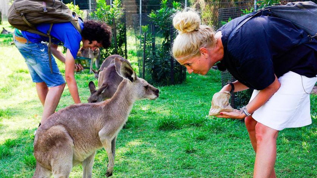 Verrückt nach Meer — Épisode 24