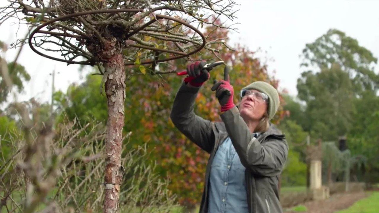 Gardening Australia - Season 33 Episode 19 : Episode 19 90th Birthday, Ita Buttrose, Ferny Creek & Zoo