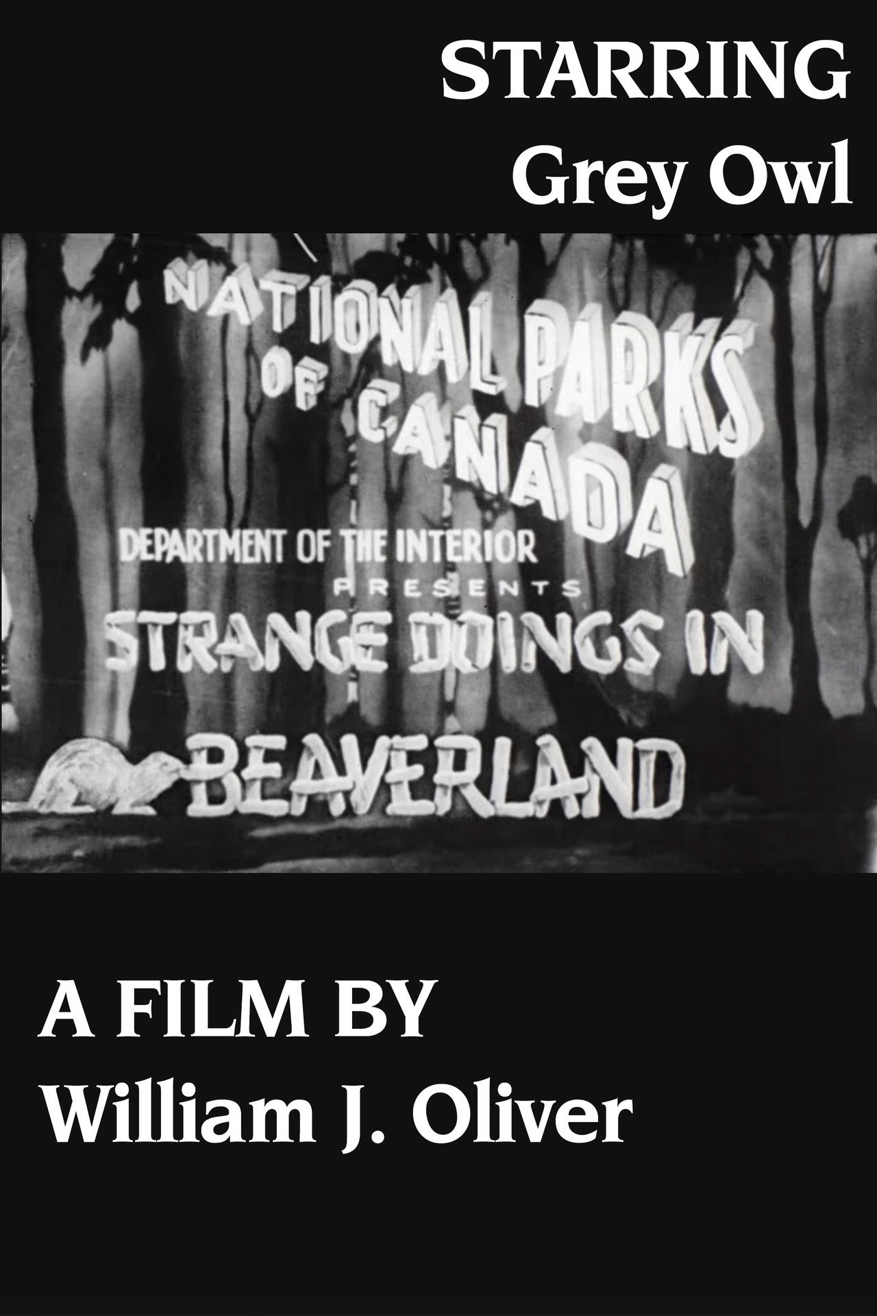 Strange Doings in Beaverland filmaffisch