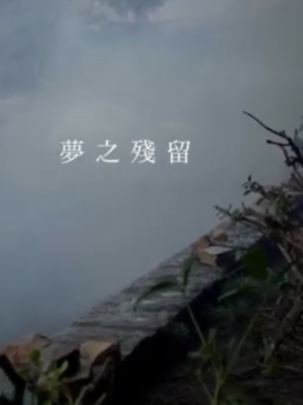 夢之殘留 filmaffisch