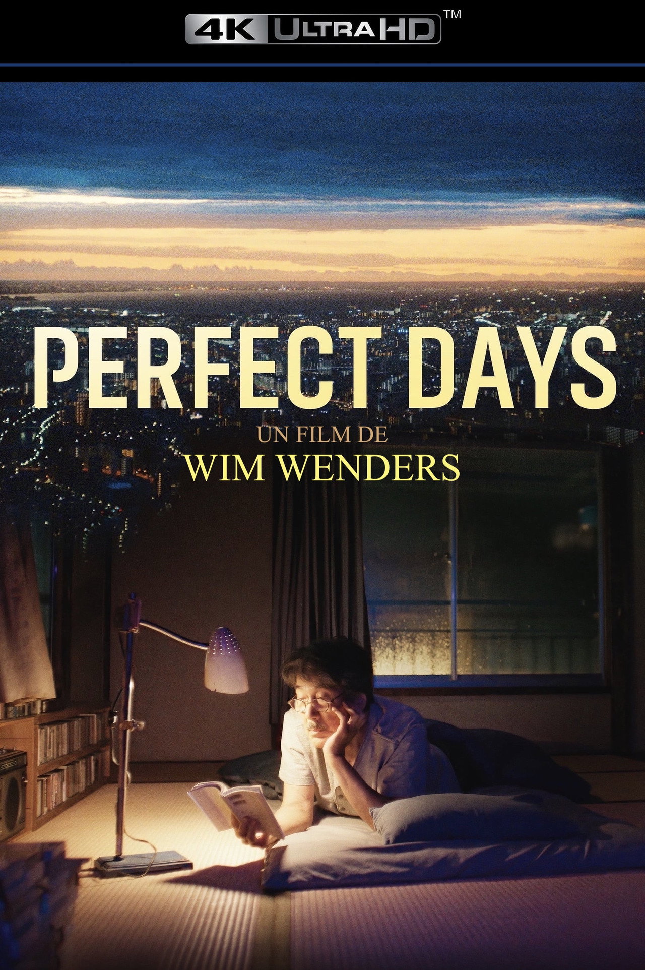 Perfect Days poster