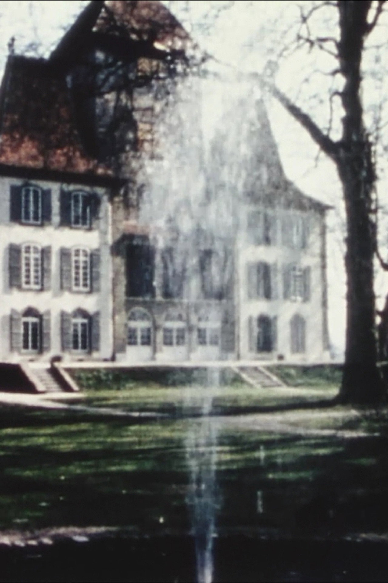 13 Bern Museums
