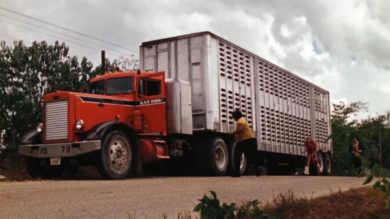 The Texas Chain Saw Massacre background 110