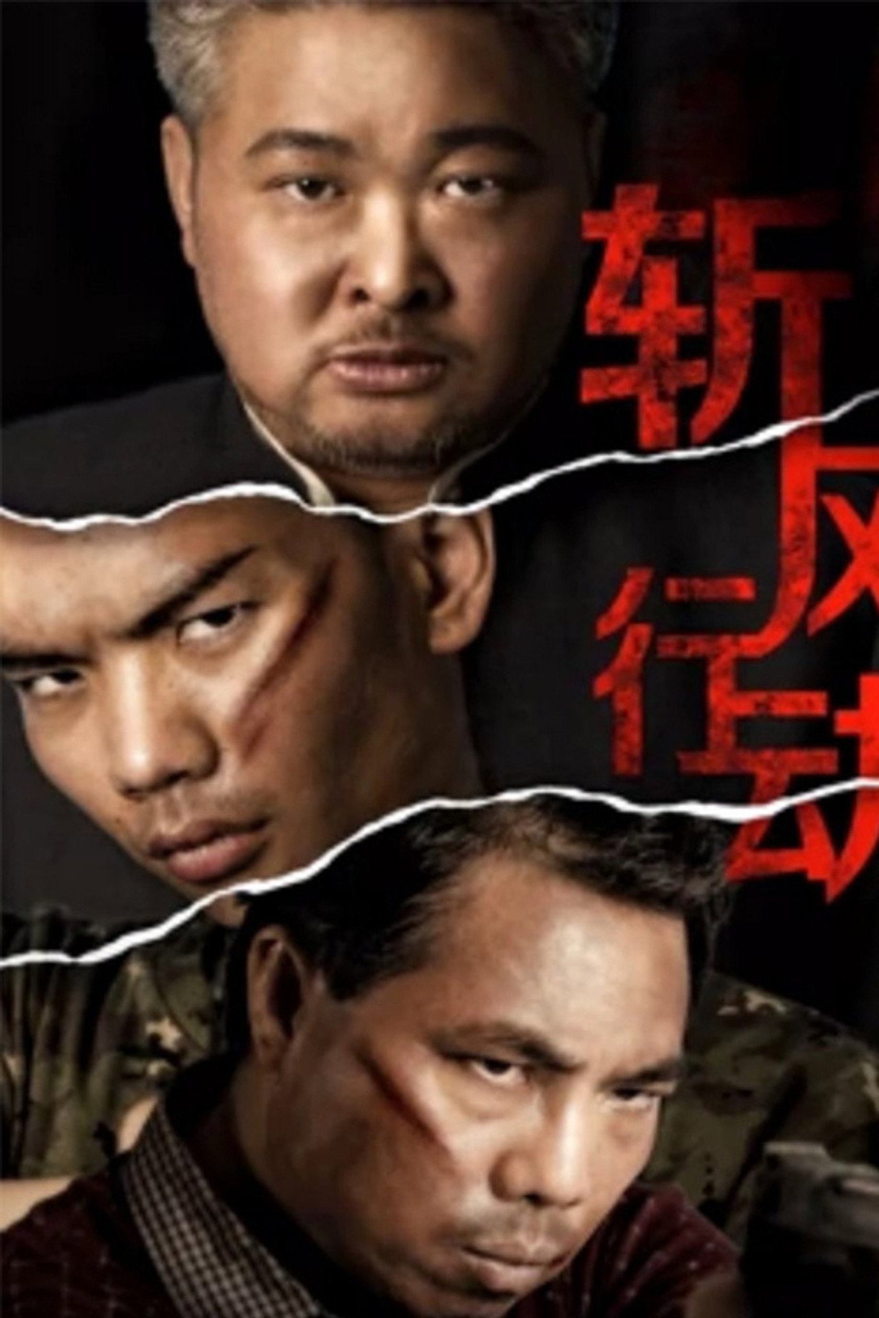 斩风行动 filmaffisch