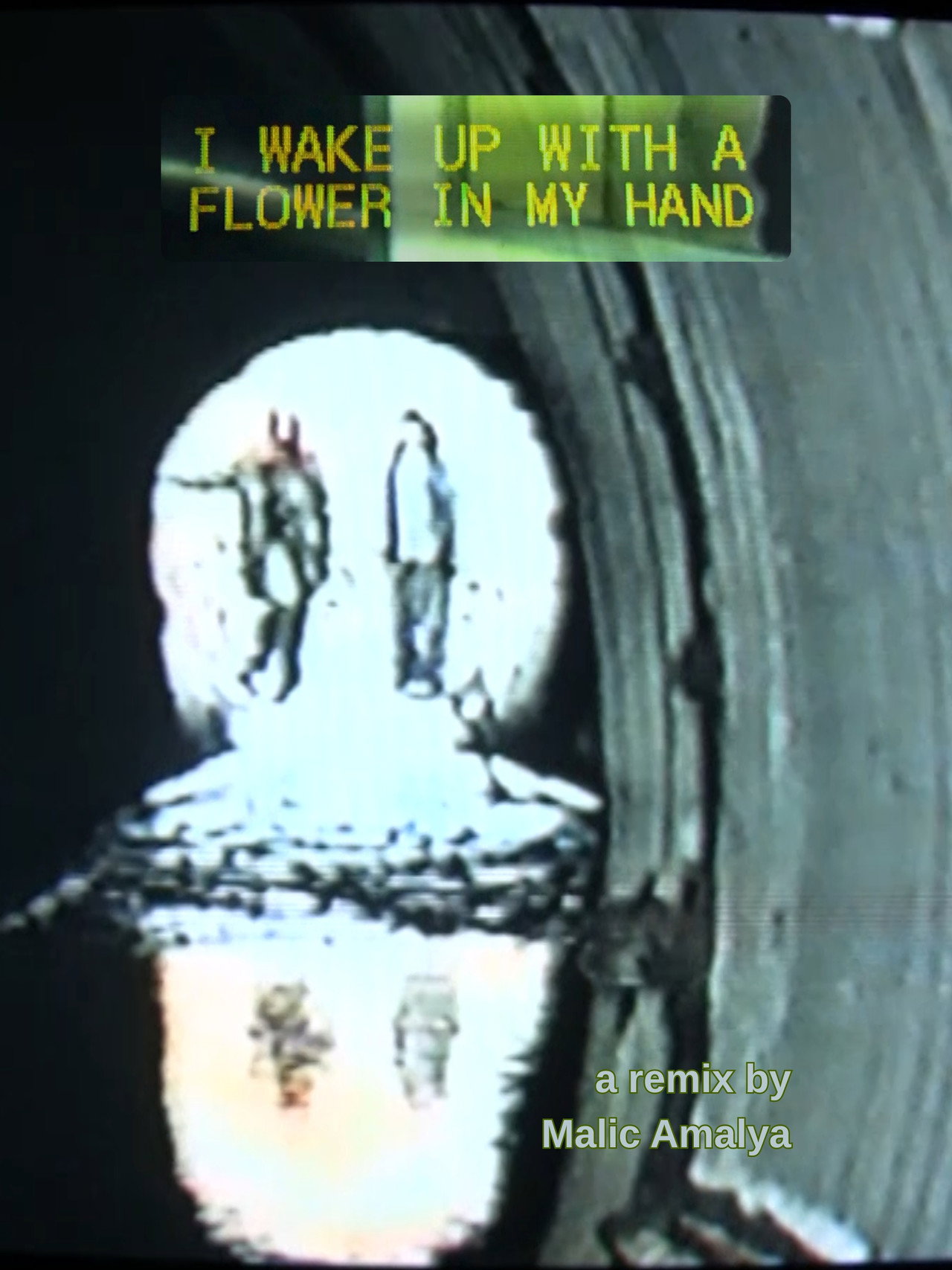 I Wake Up With a Flower in My Hand filmaffisch