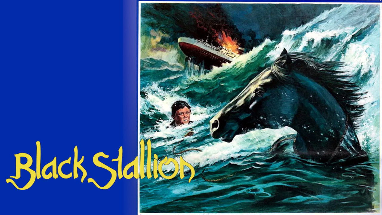 The Black Stallion