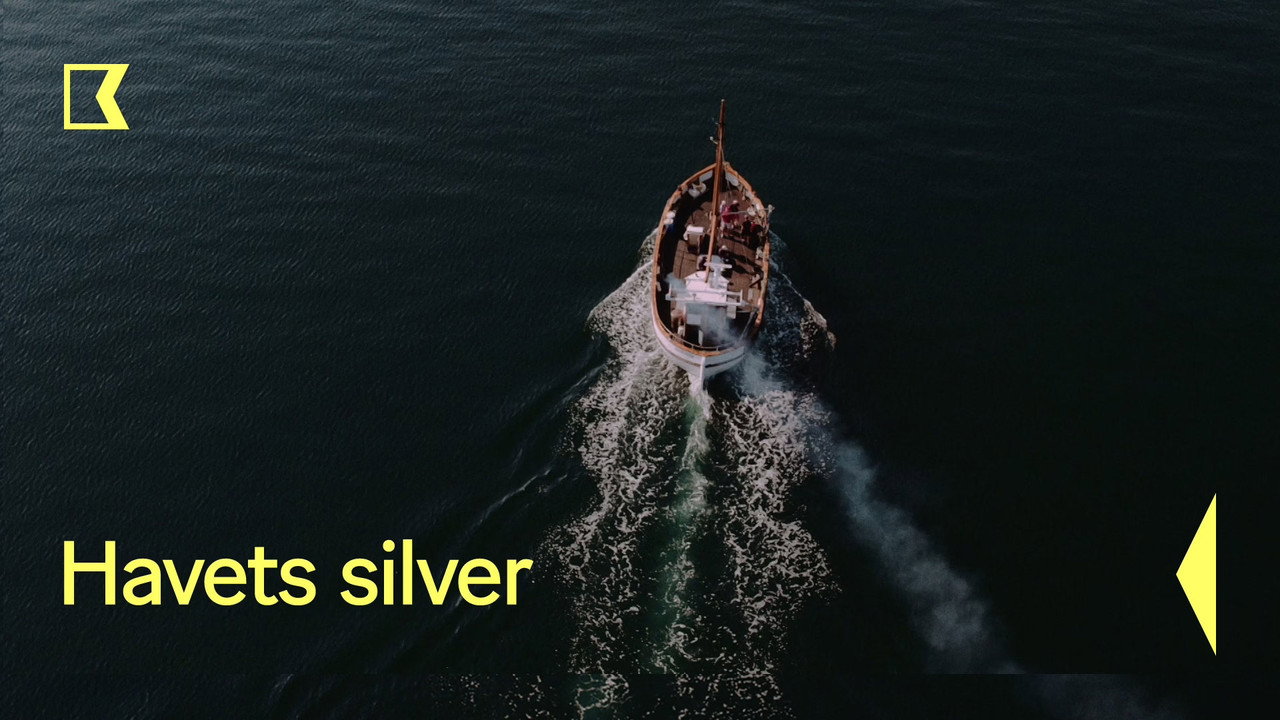 Havets silver
