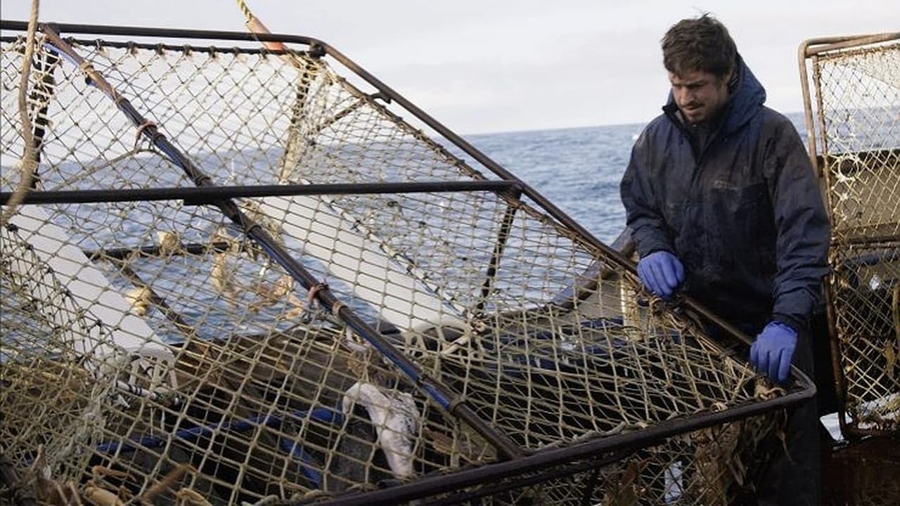 Deadliest Catch - Season 17 Episode 8 : Tangled Web