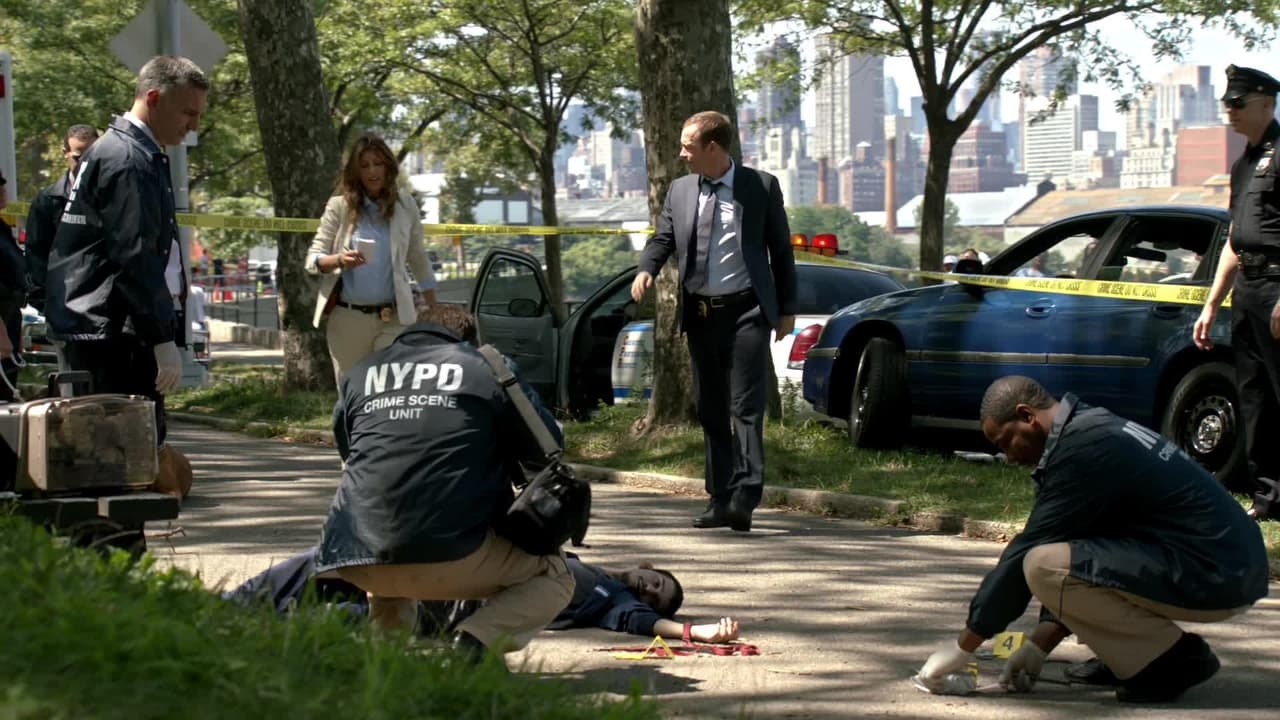Blue Bloods - Season 3 Episode 3 : Old Wounds