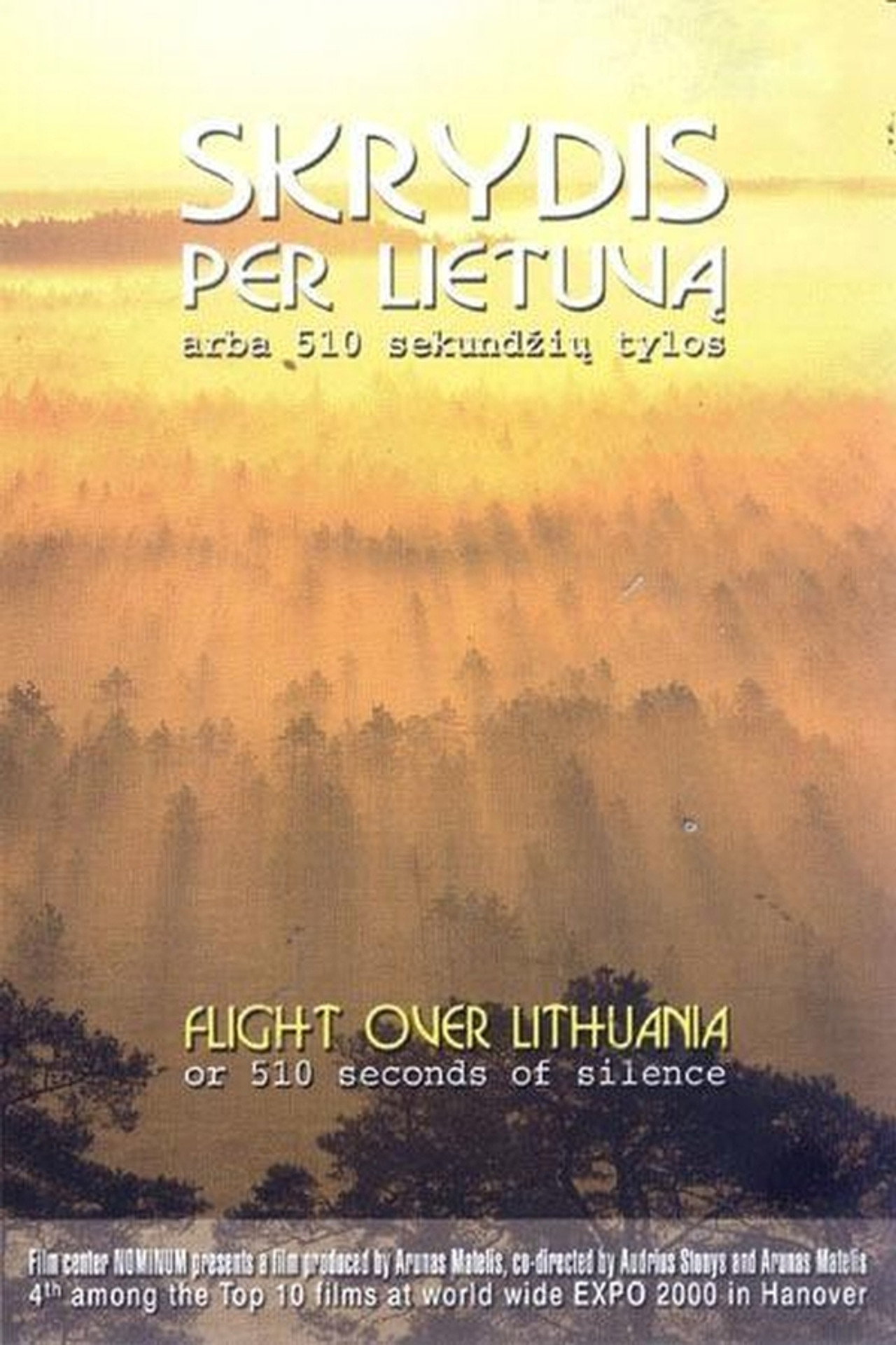 Skrydis per Lietuvą arba 510 sekundžių tylos filmaffisch