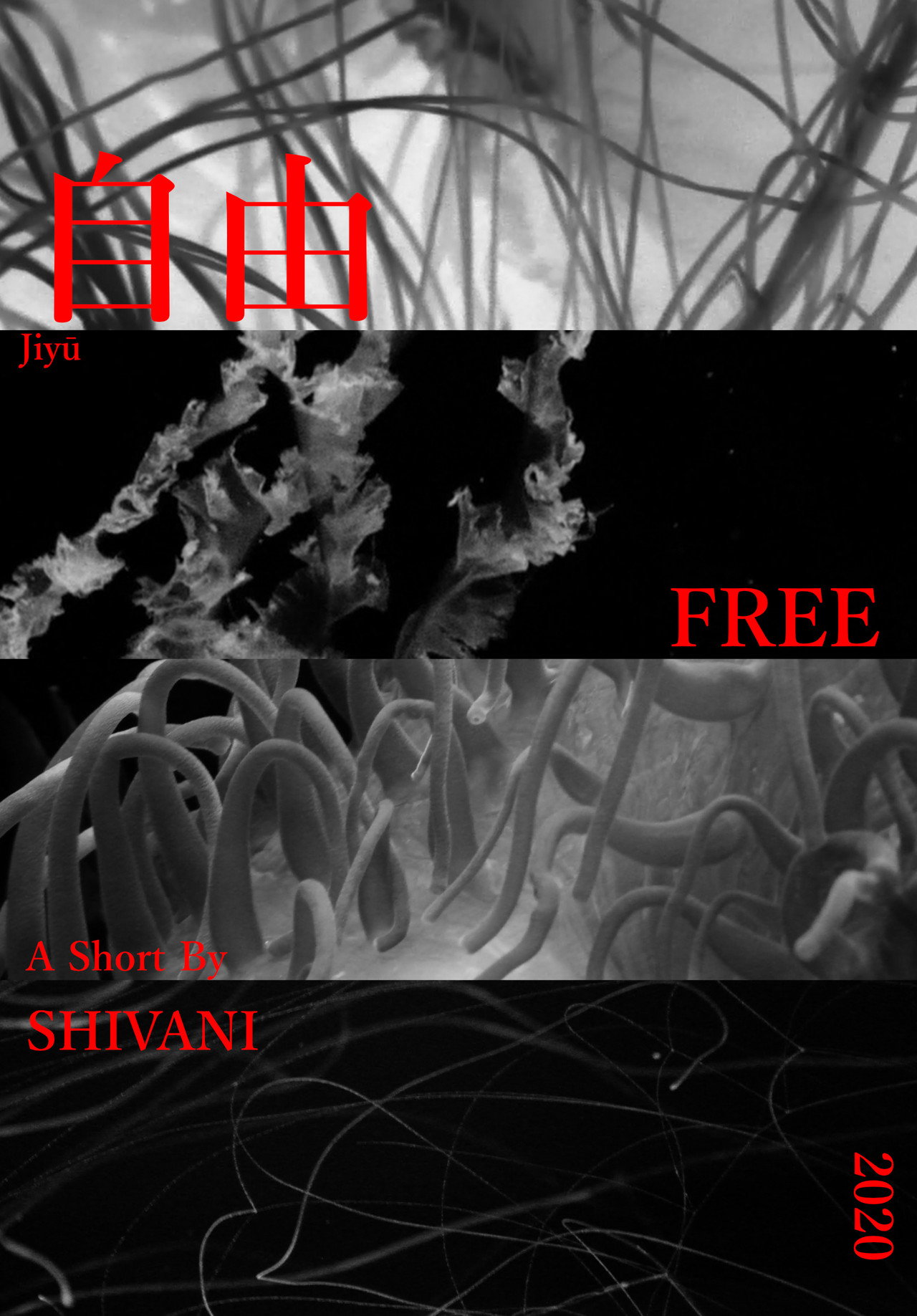 Free