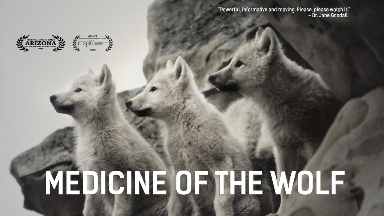 Scen från Medicine of the Wolf