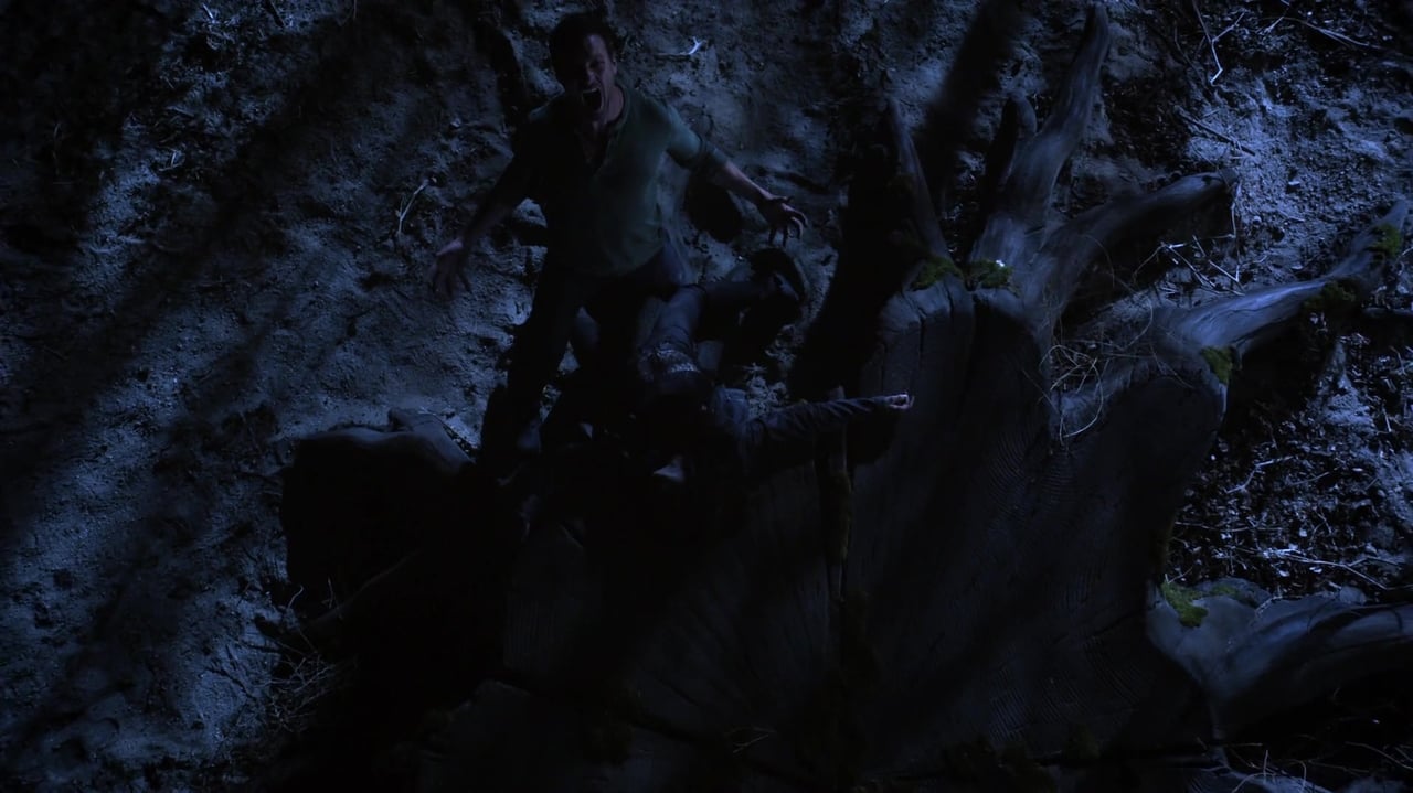 Teen Wolf - Season 3 Episode 12 : Lunar Ellipse