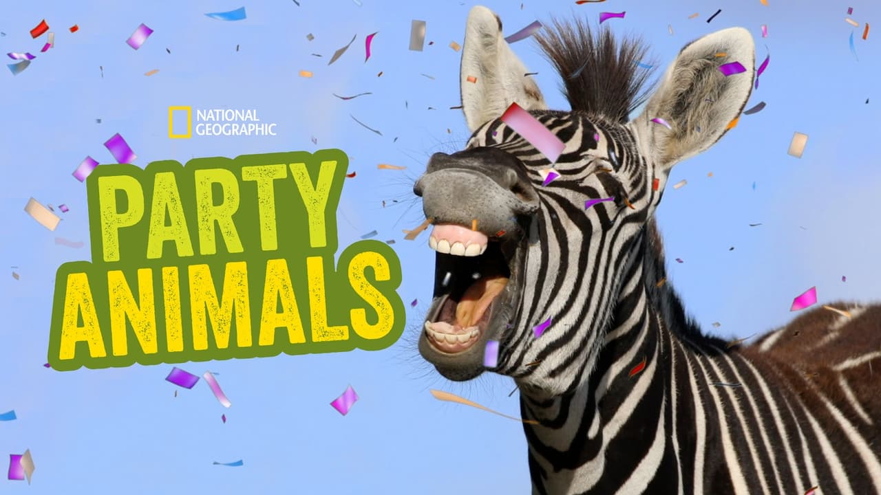 Party Animals background