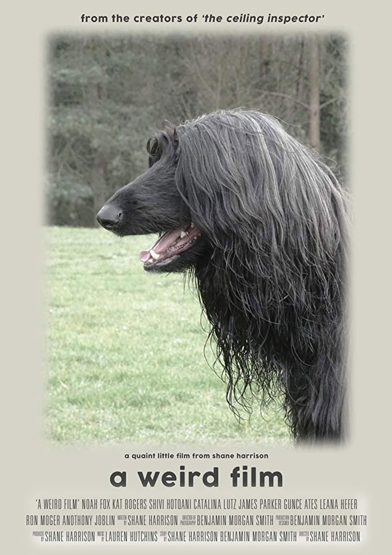 A Weird Film filmaffisch