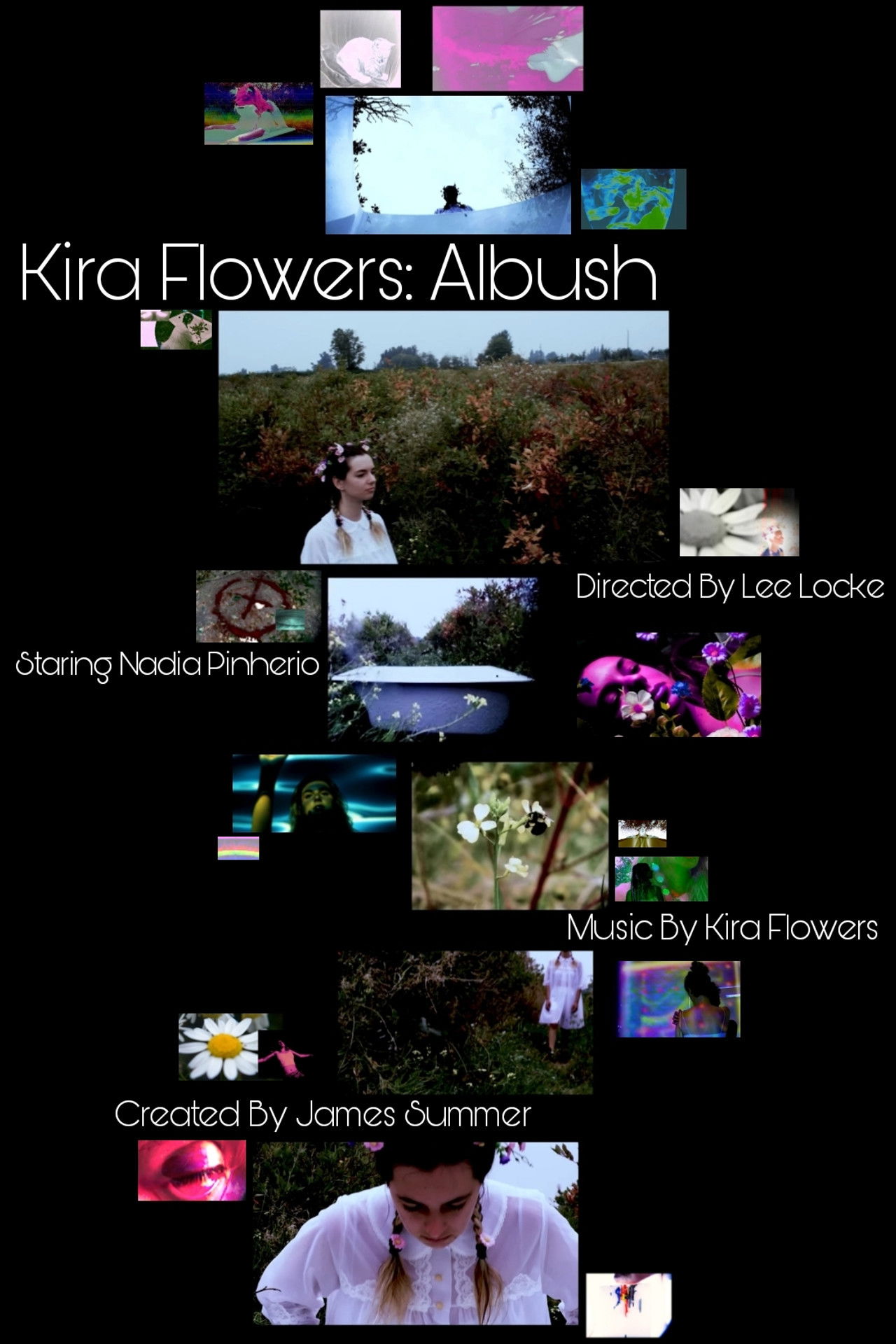 Kira Flowers - Albush Backdrop