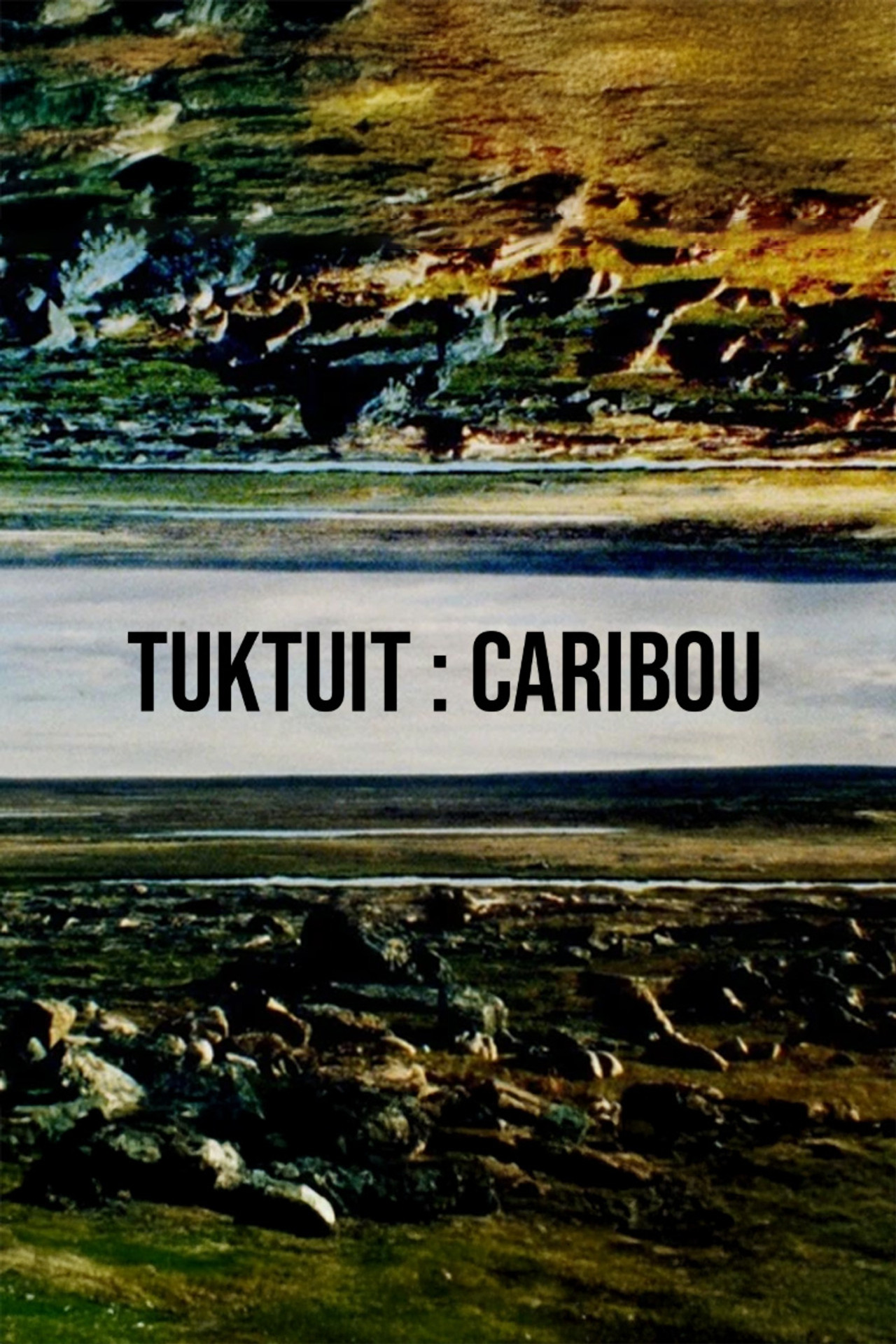Tuktuit: Caribou filmaffisch