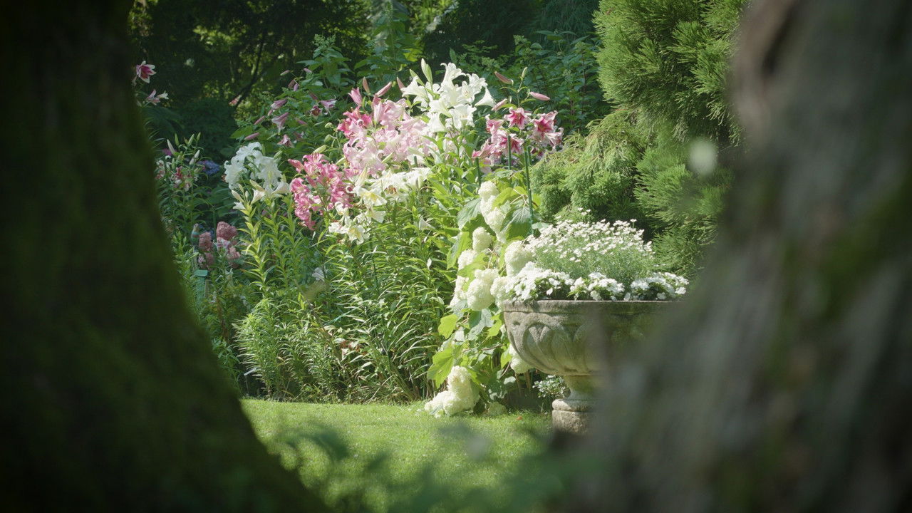 A collector's garden