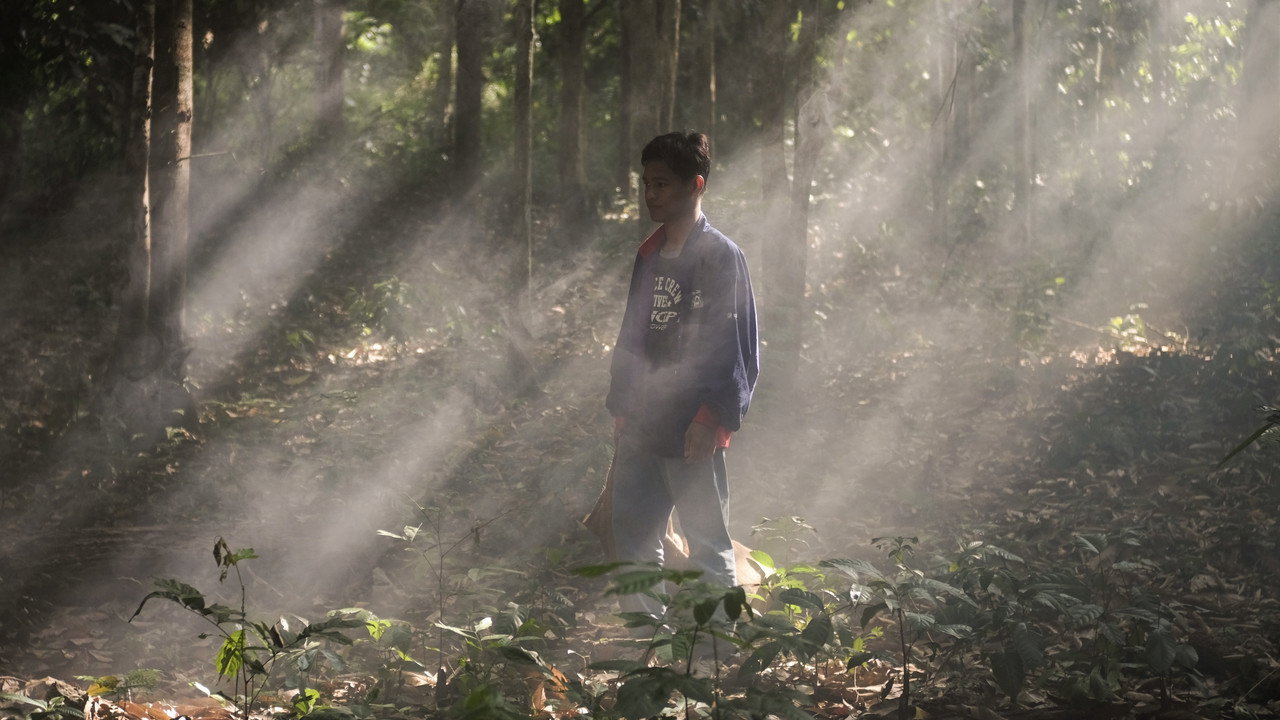 The Fox King backdrop