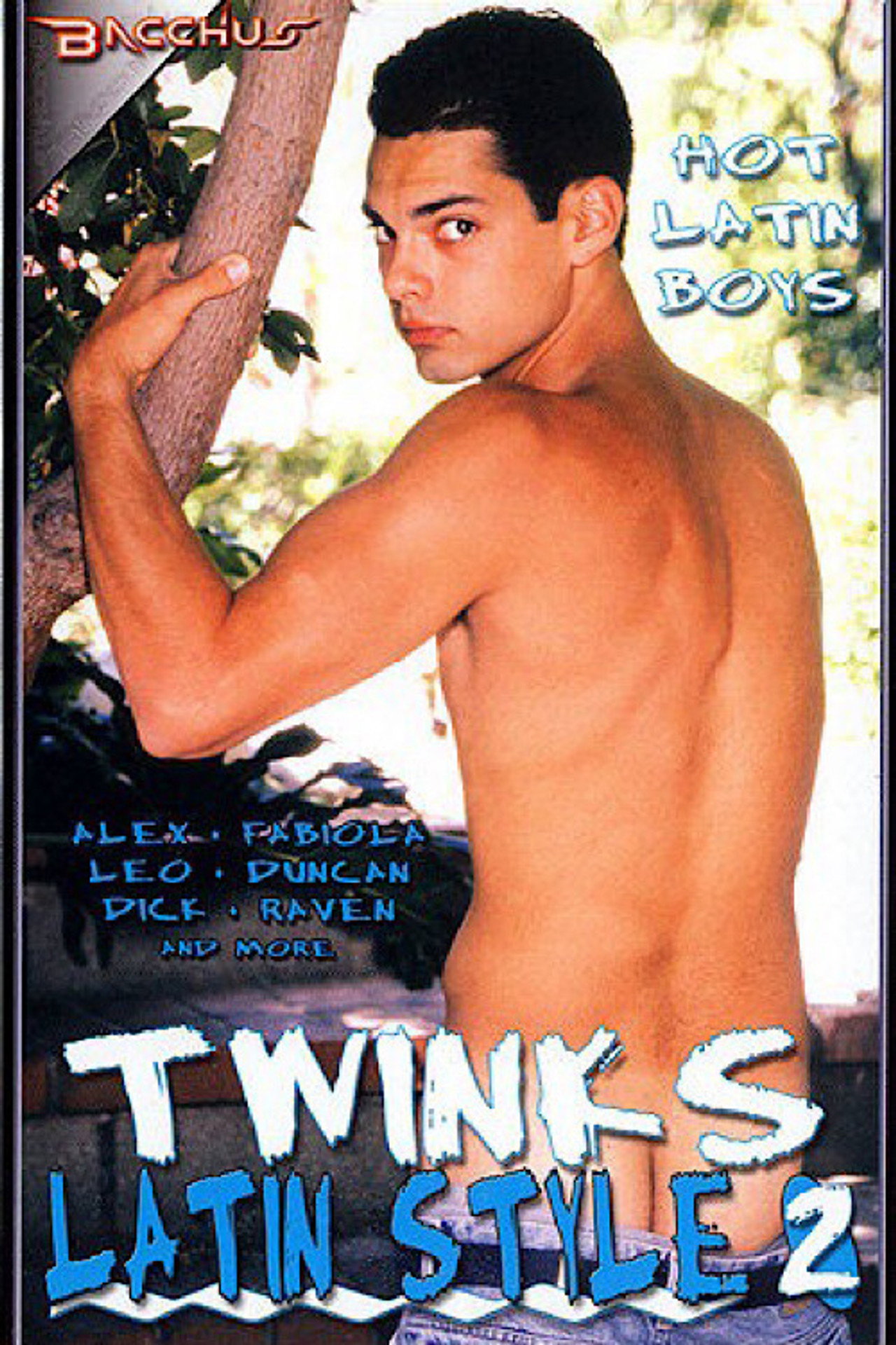 Twinks Latin Style 2 filmaffisch