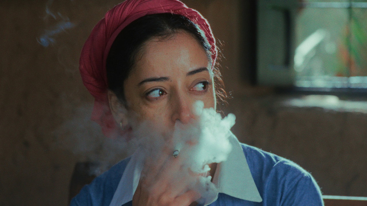 The Roses of Marrakesh still 4