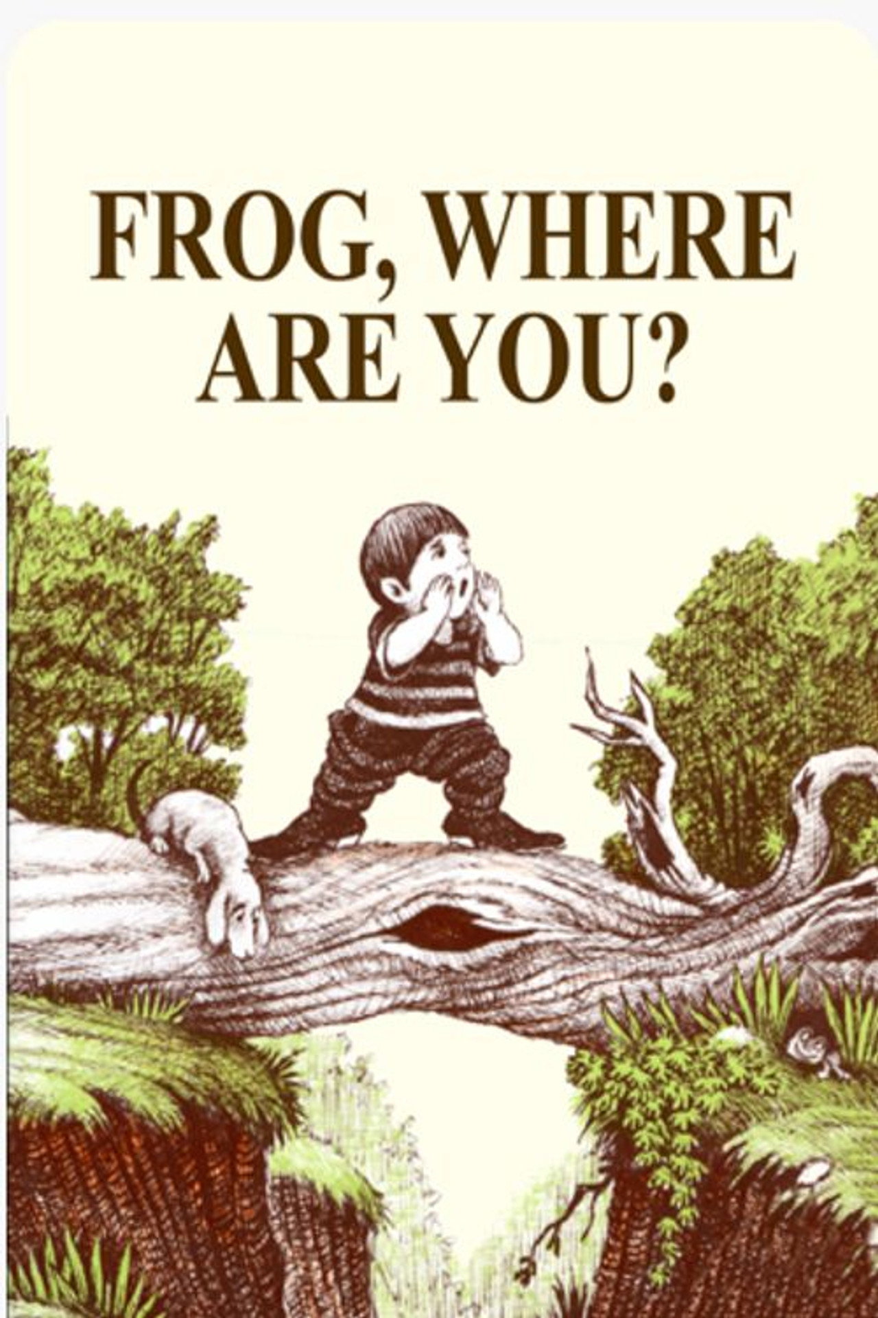Frog Where Are You? filmaffisch