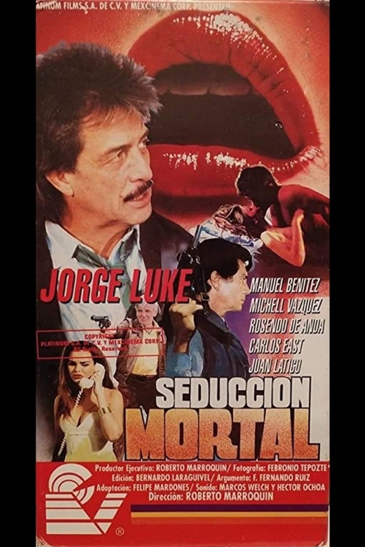 En seducción mortal filmaffisch