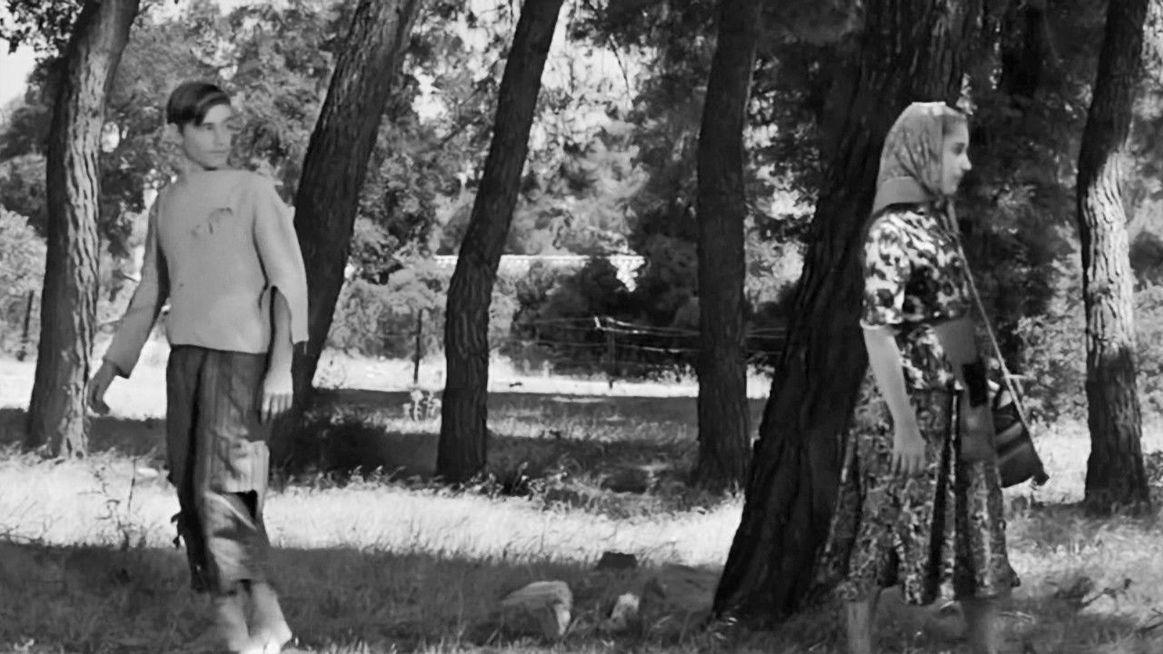 The Virgin Mary's Miracle backdrop