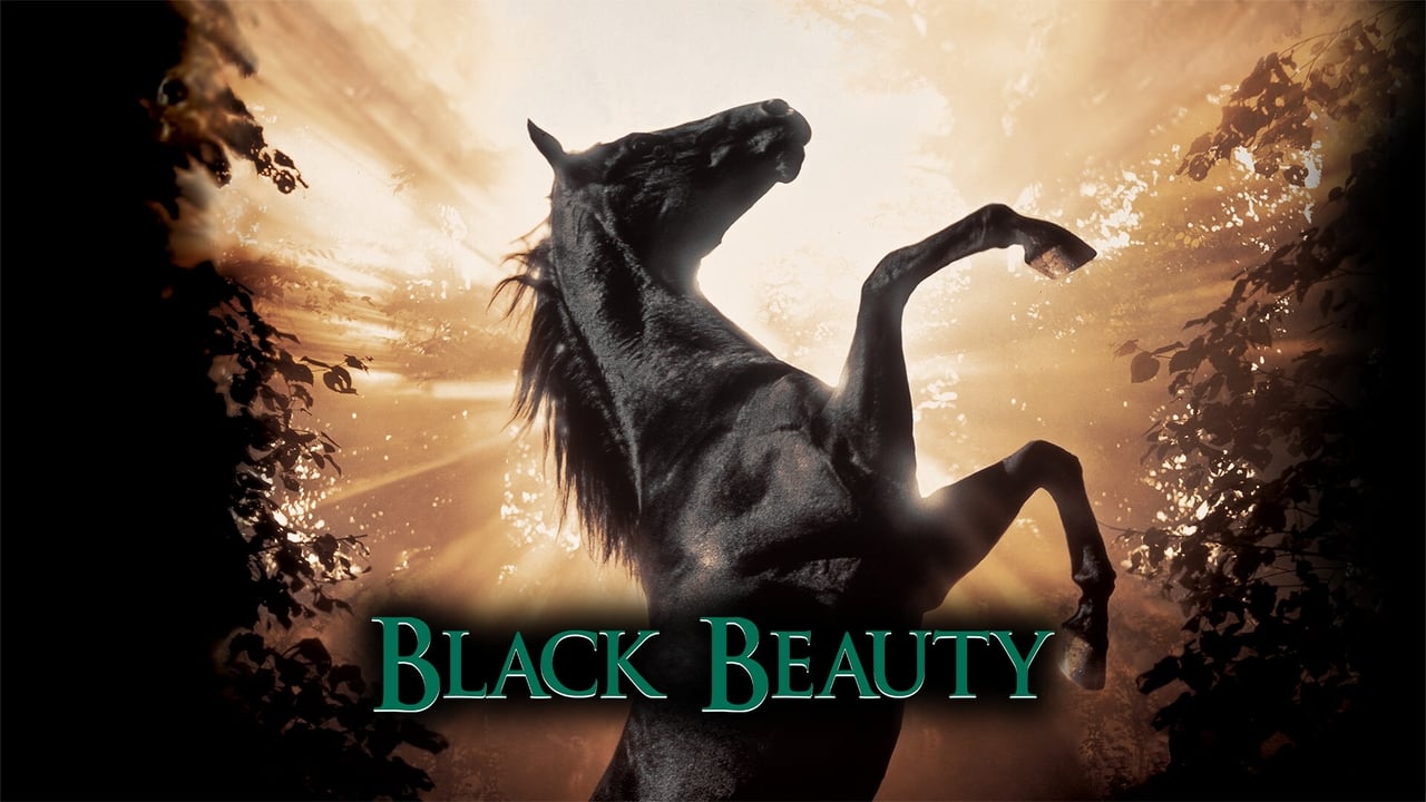 Black Beauty background