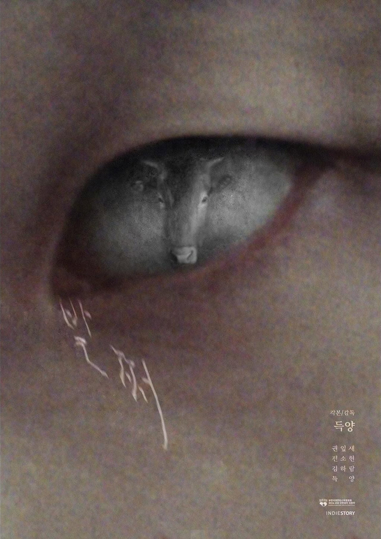 발쩌 filmaffisch