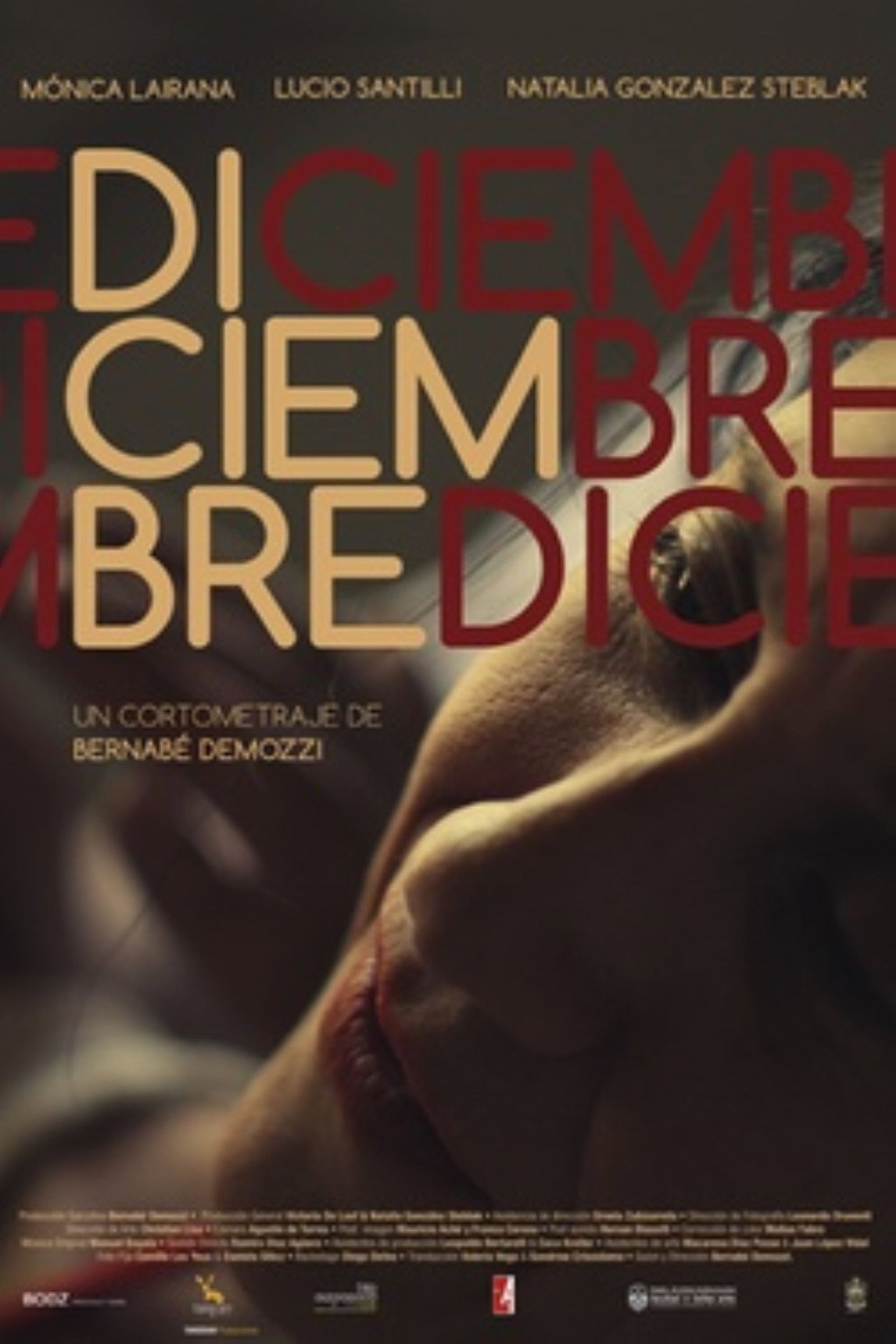 Diciembre filmaffisch