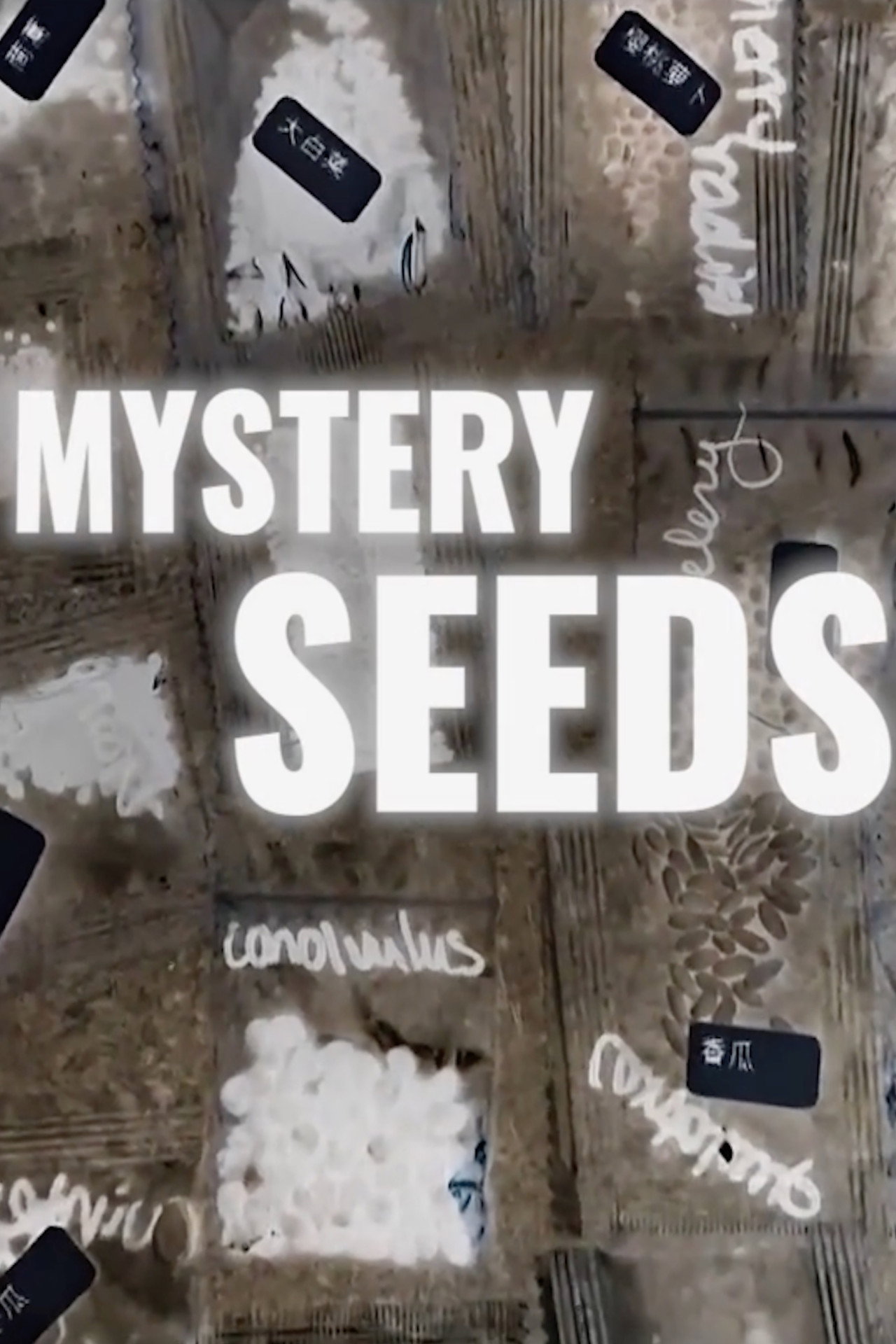 Mystery Seeds filmaffisch