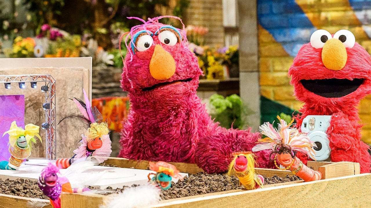 Sesame Street - Season 49 Episode 2 : Picture This