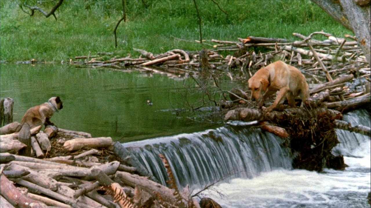 title image