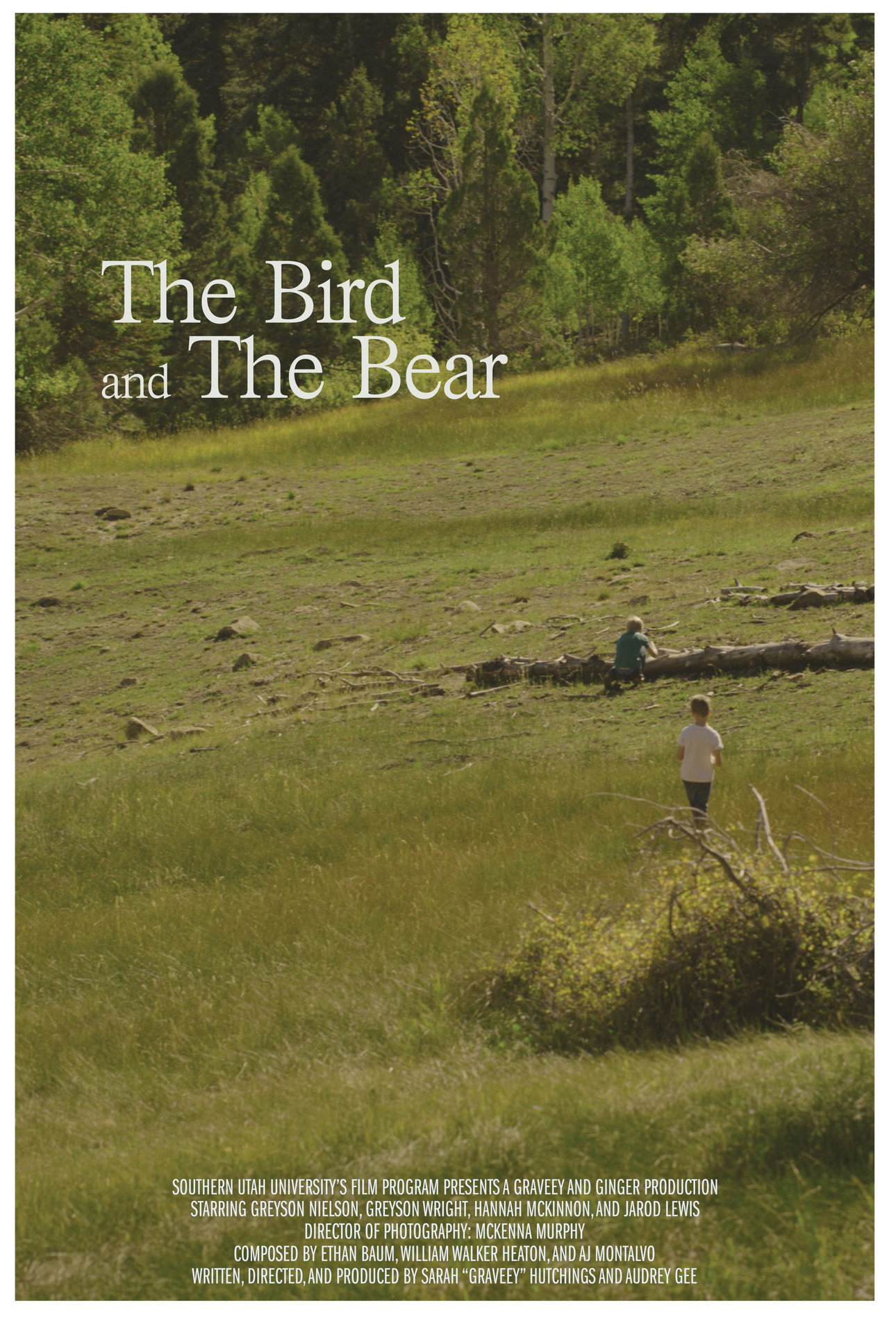 The Bird and The Bear Backdrop