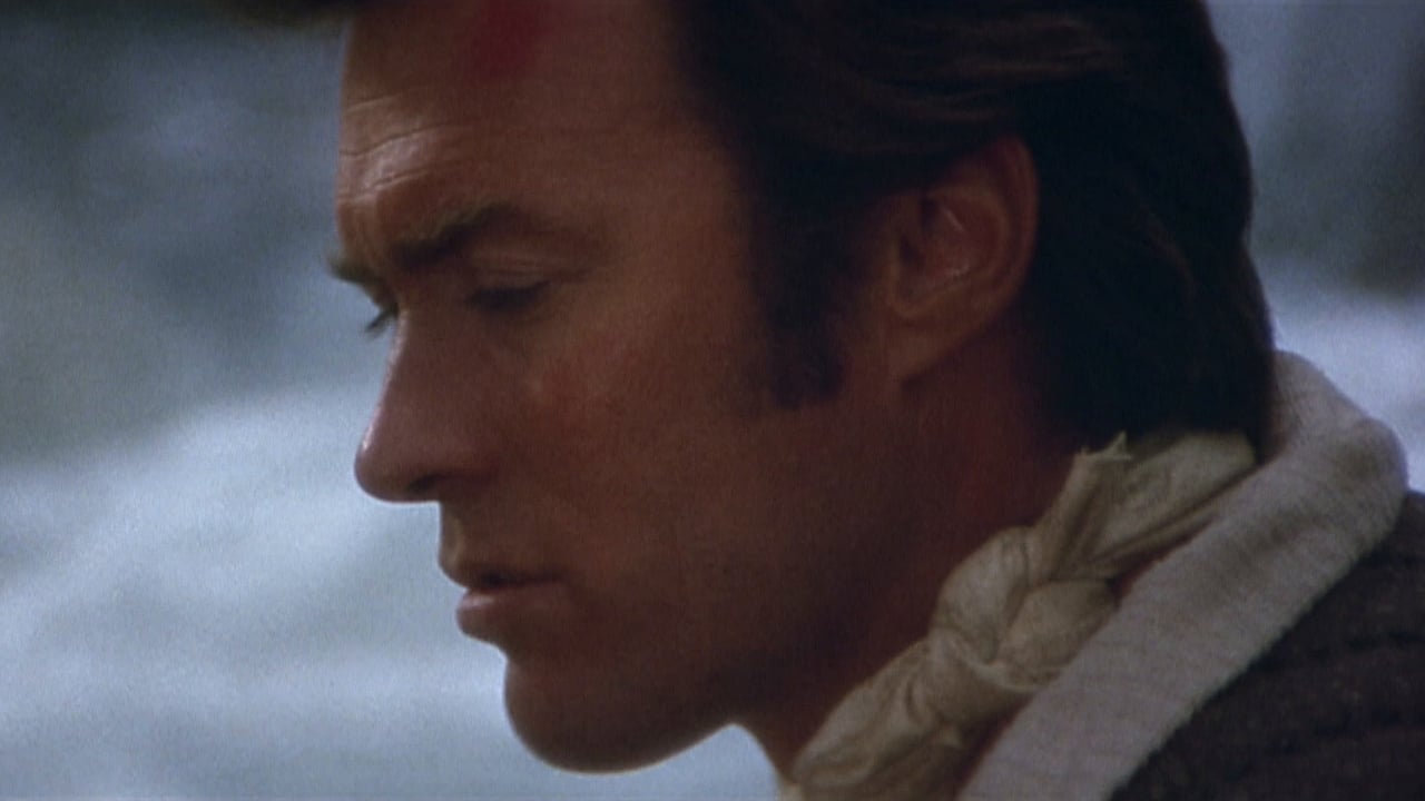 Paint Your Wagon background