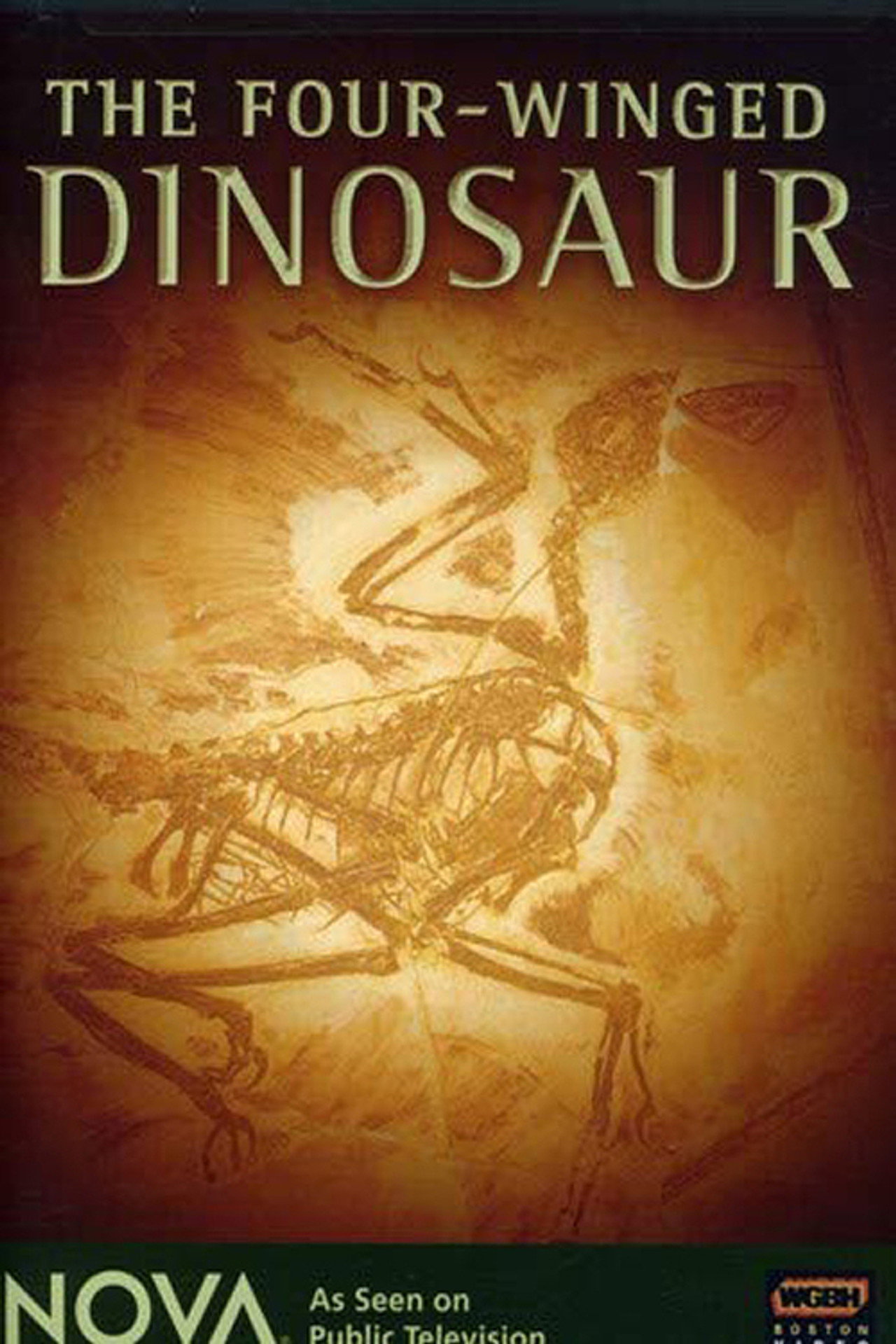The Four-Winged Dinosaur Backdrop