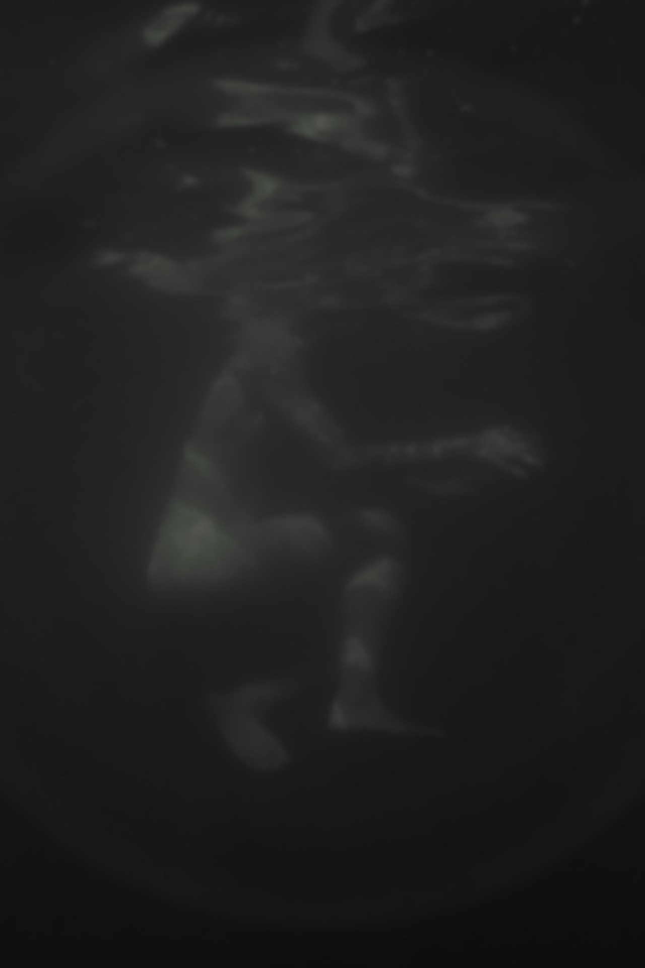 Hazug disznók az álmok is Backdrop