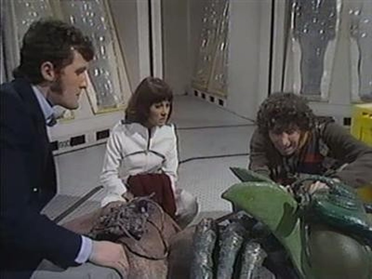 Doctor Who - Season 12 Episode 7 : The Ark in Space (3)