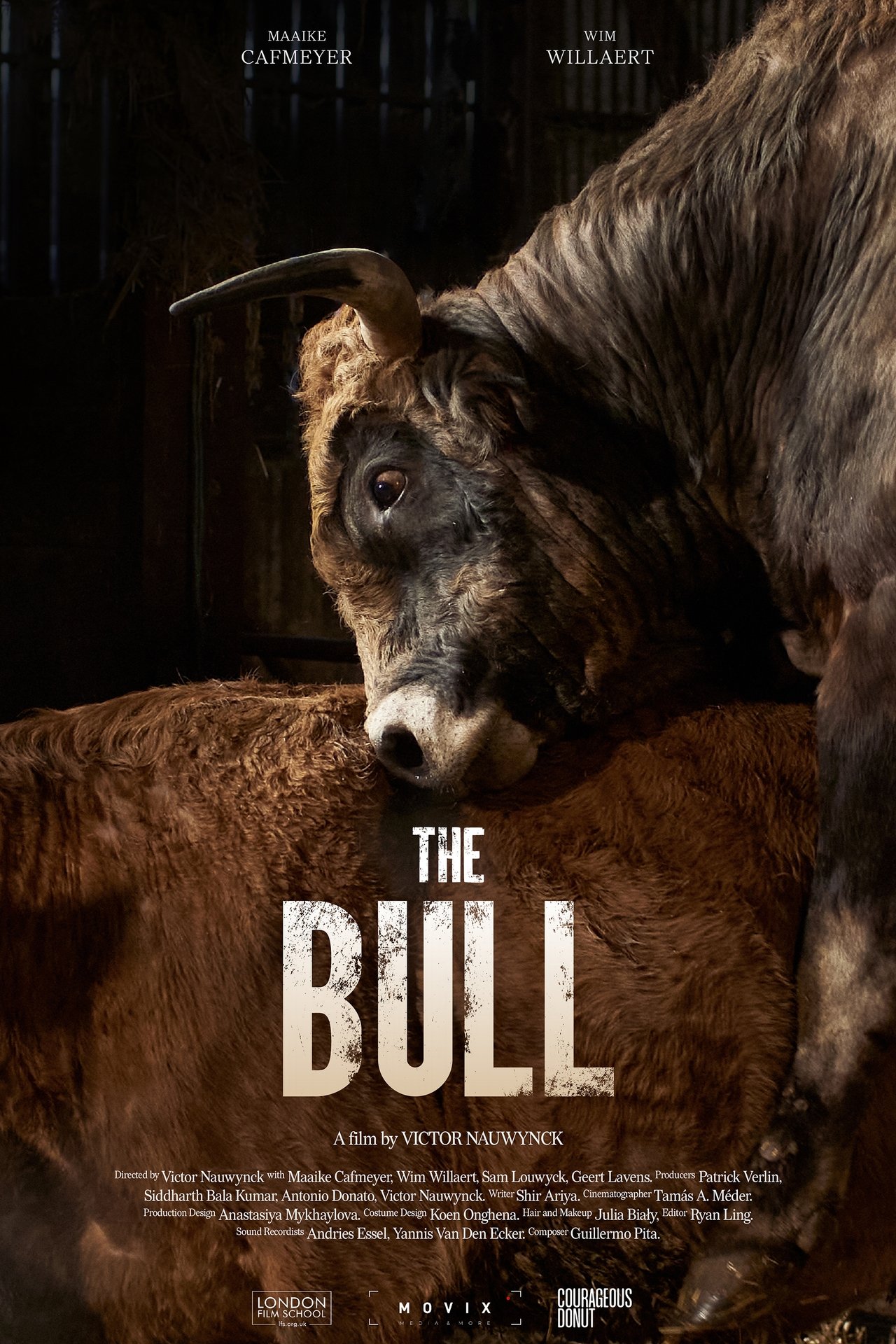 De Stier poster