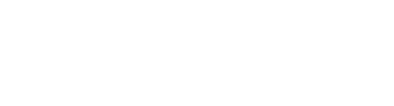 Disney Parks Magical Christmas Day Parade