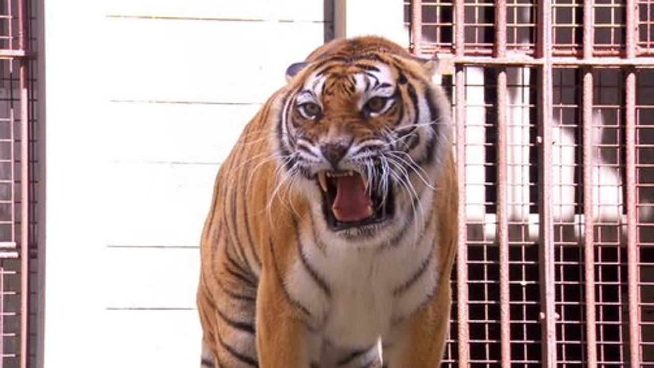 Fort Boyard (Deutschland) — Épisode 3