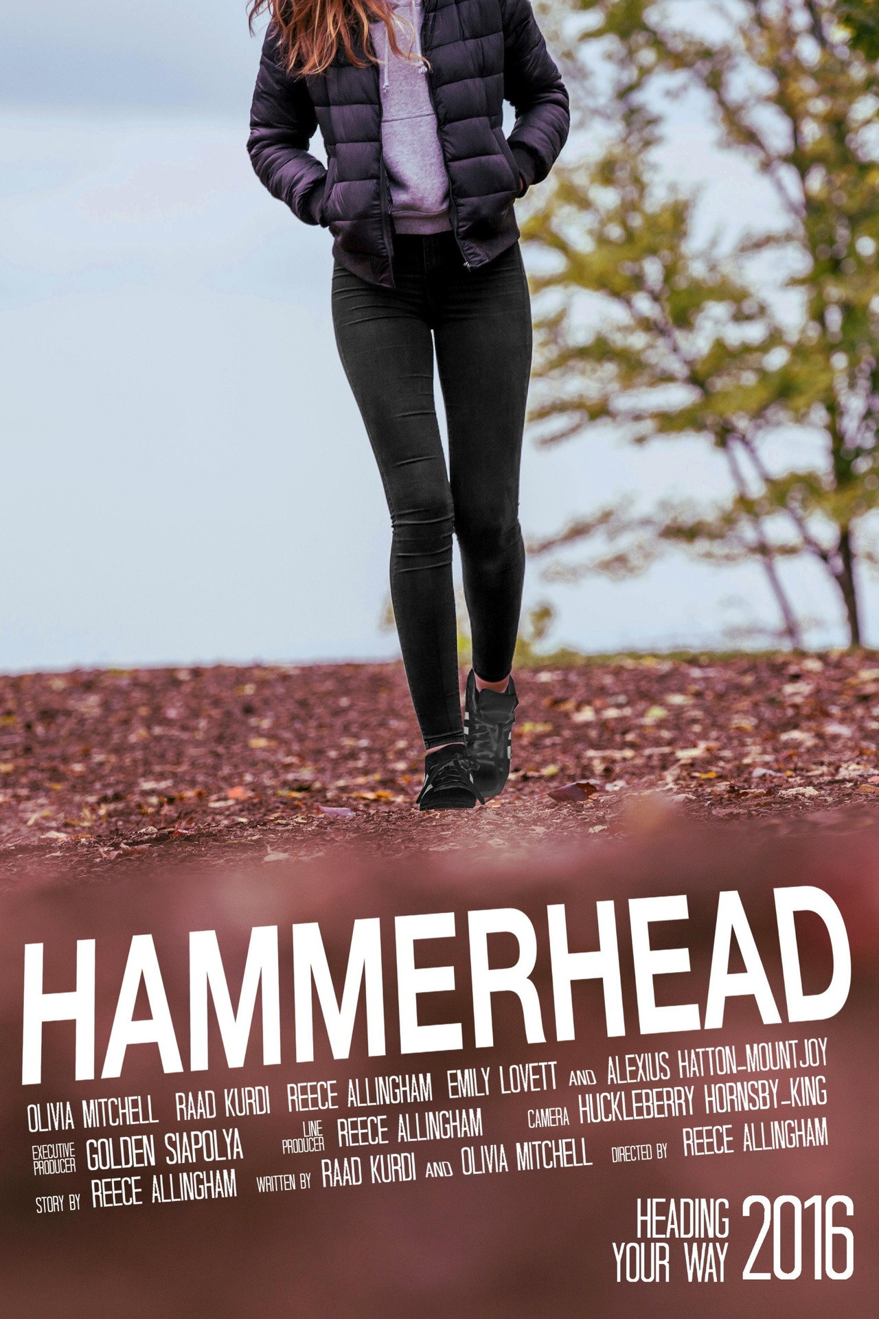Hammerhead poster