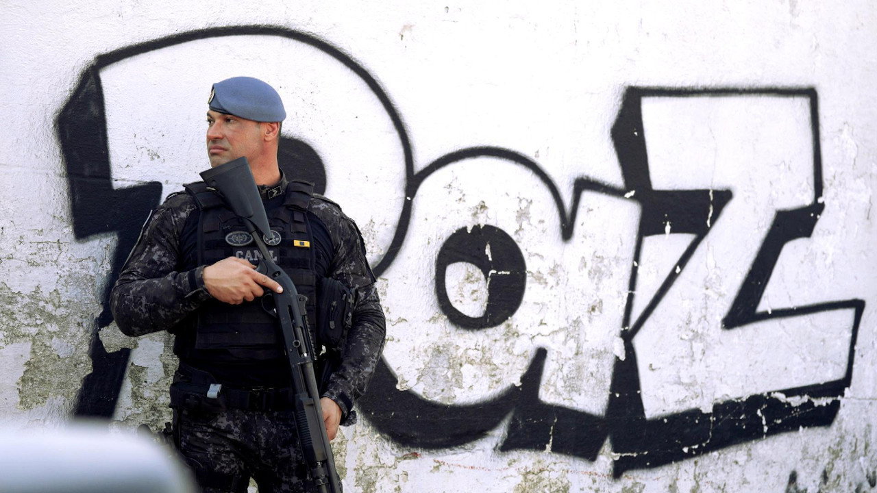 Assistir Território é Lucro? Online